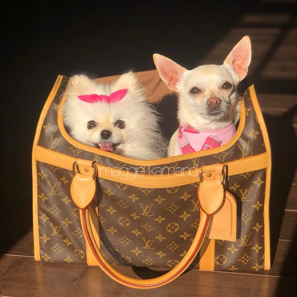 PINK Victoria's Secret Handbags - Head Over to my Closet!